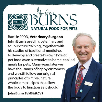 Burns Pet Nutrition Hypoallergenic Complete Dry Dog Food Adult and Senior Dog Sensitive with Pork and Potato 12 kg