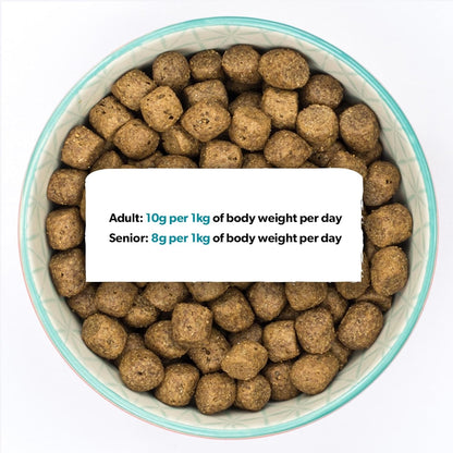Burns Pet Nutrition Hypoallergenic Complete Dry Dog Food Adult and Senior Dog Sensitive with Pork and Potato 12 kg