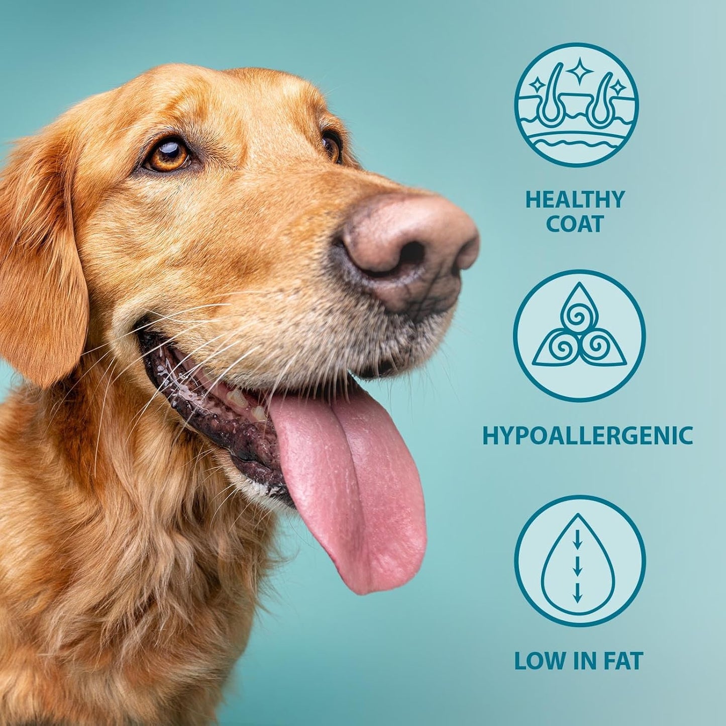 Burns Pet Nutrition Hypoallergenic Complete Dry Dog Food Adult and Senior Dog Original Lamb and Brown Rice 12 kg