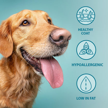 Burns Pet Nutrition Hypoallergenic Complete Dry Dog Food Adult and Senior Dog Original Lamb and Brown Rice 12 kg