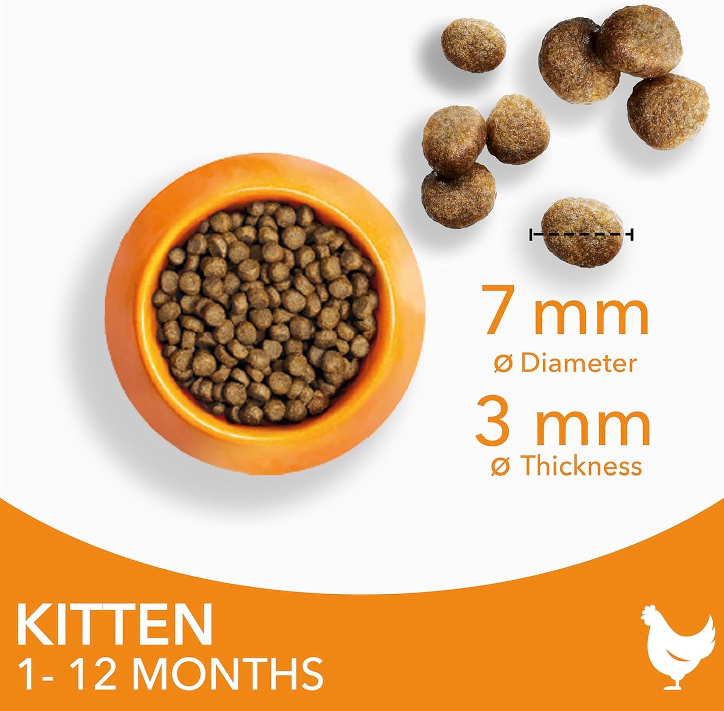 IAMS Kitten Complete Dry Cat Food Chicken 10kg - For Healthy Growth