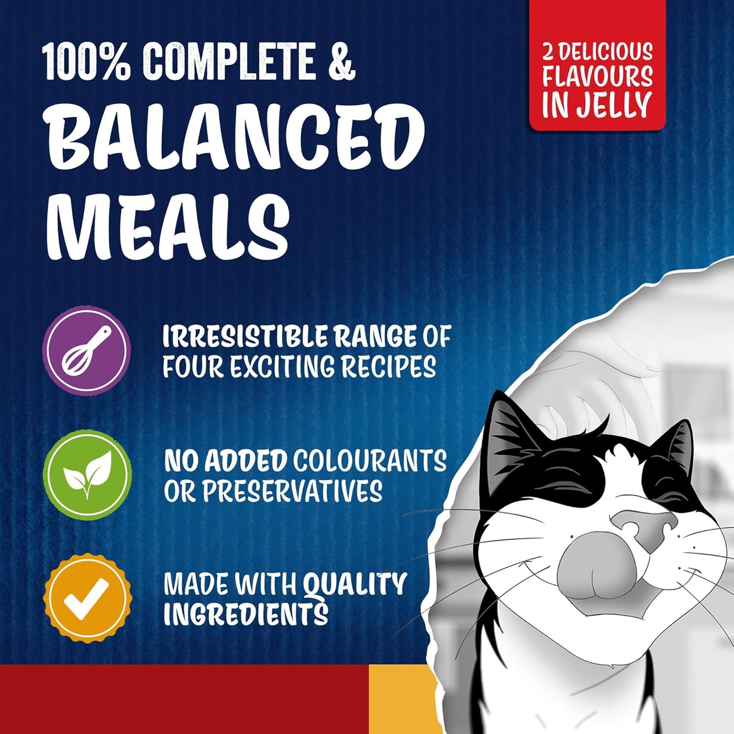 FELIX Doubly Delicious Countryside Selection in Jelly Wet Cat Food 40x85g