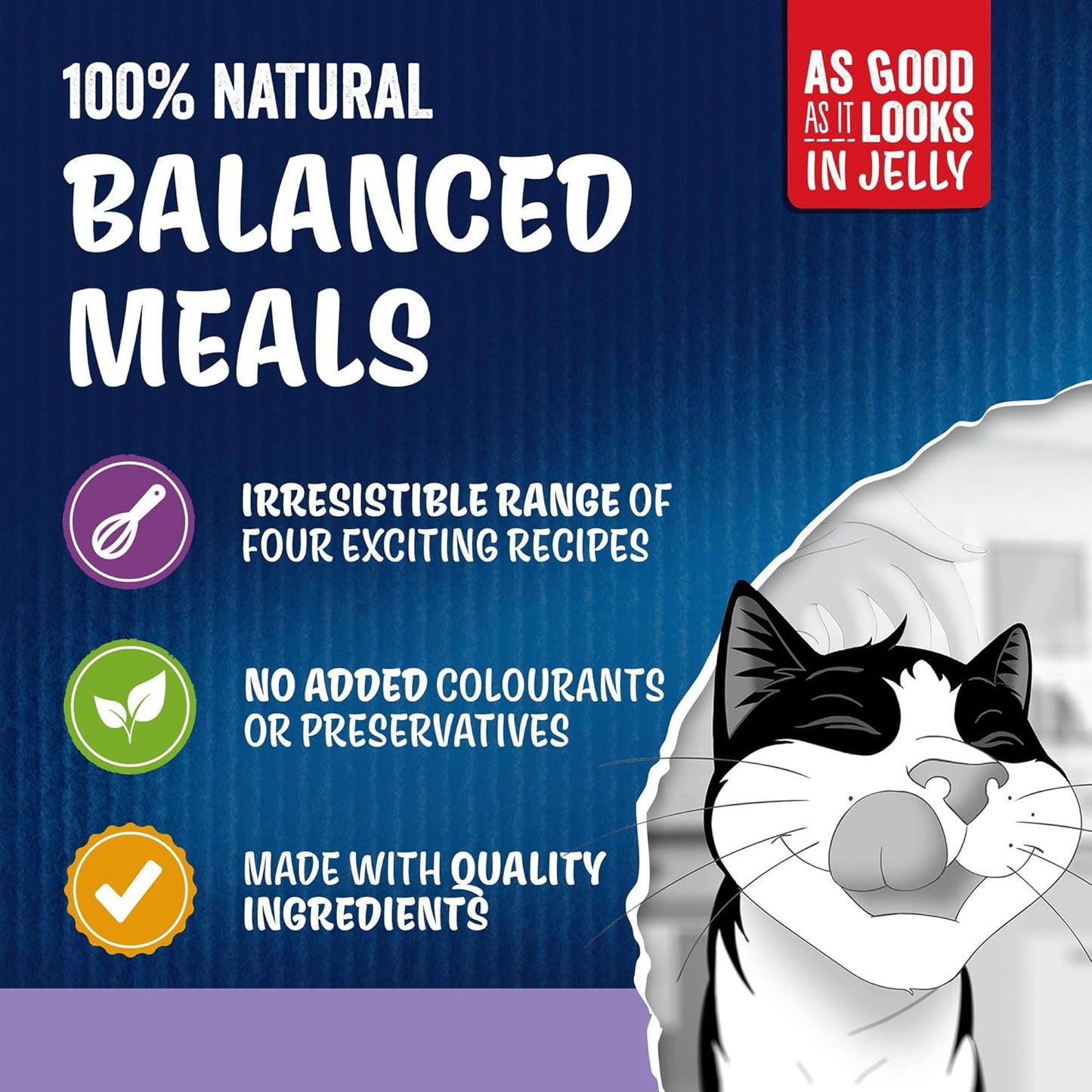FELIX As Good As it Looks Favourites Selection in Jelly Wet Cat Food 120x85g