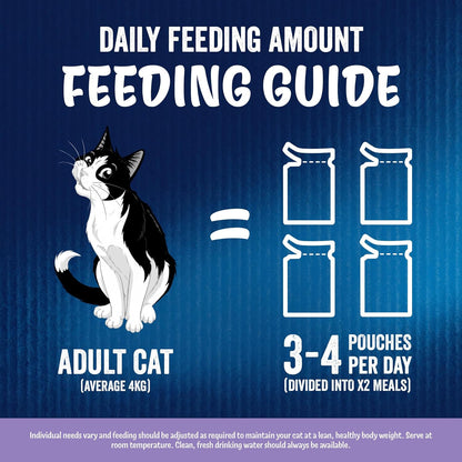 FELIX As Good As it Looks Favourites Selection in Jelly Wet Cat Food 120x85g