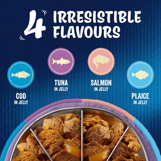 FELIX As Good As it Looks Ocean Feasts Wet Cat Food 40x85g