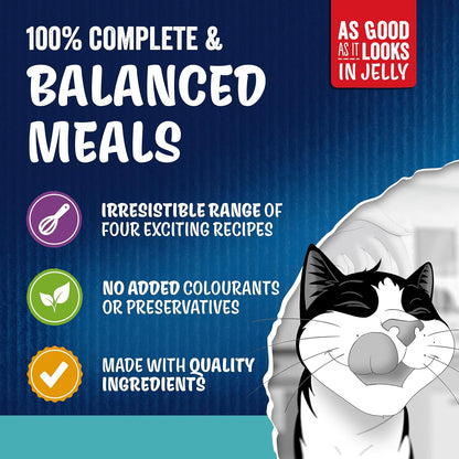 FELIX As Good As it Looks Ocean Feasts Wet Cat Food 40x85g