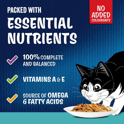 FELIX As Good As it Looks Ocean Feasts Wet Cat Food 40x85g