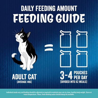 FELIX As Good As it Looks Ocean Feasts Wet Cat Food 40x85g