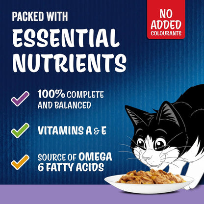 FELIX As Good As it Looks Kitten Mixed Selection in Jelly Wet Cat Food 40x85g