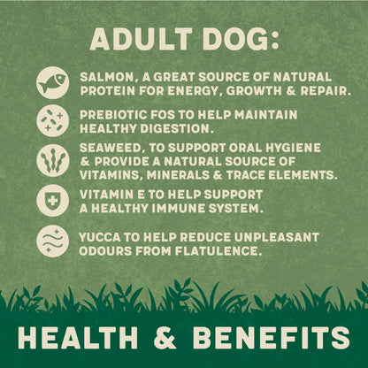 Harringtons Complete Dry Adult Dog Food Salmon & Potato 12kg - Made with All Natural Ingredients